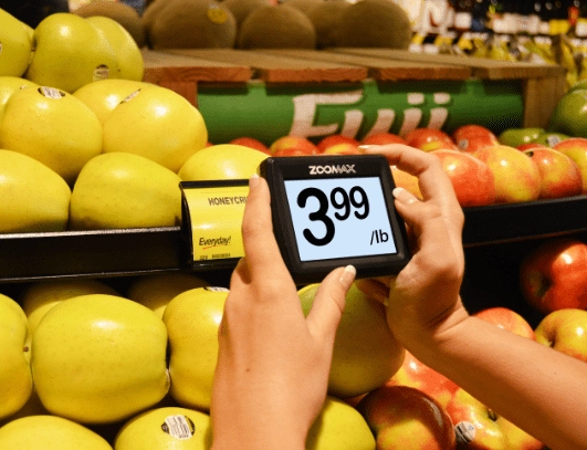 handheld video magnifier viewing price at supermarket