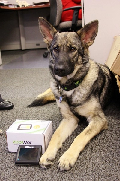 zoomax butterfly handheld video magnifier with one of the seeing eye puppies in training