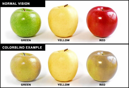 What Color - Zoomax Low Vision Aids
