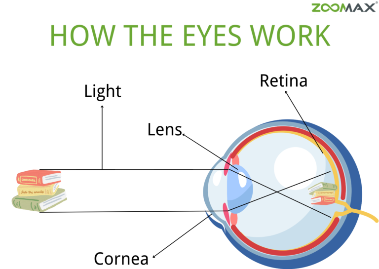 eye-strain-it-s-time-to-take-good-care-of-your-eye-zoomax-low-vision