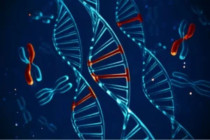 cause of cone rode dystrophy