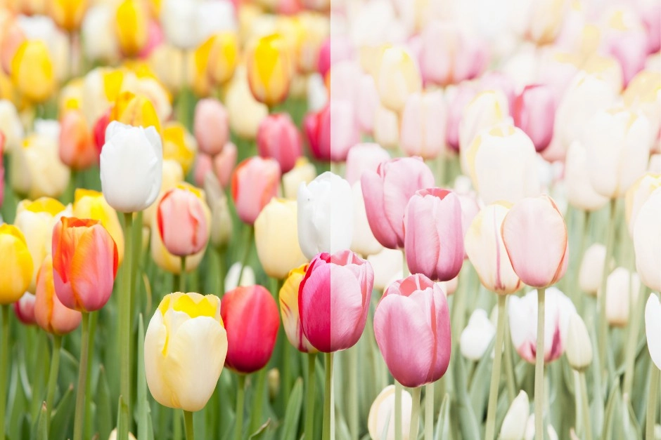 color vision difficulties of cone rode dystrophy