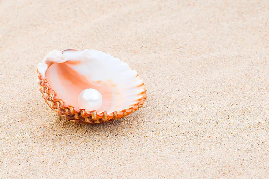 sea