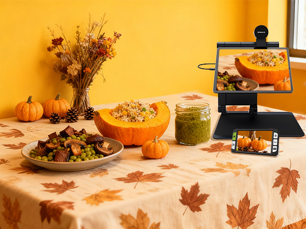 low vision cooking 2025 thanksgiving plant based food with zoomax luna 6 and snow pad