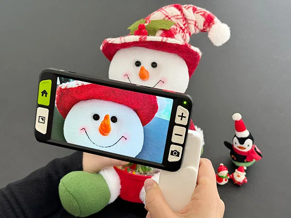 using luna 6 to check product details for christmas 2025 shopping