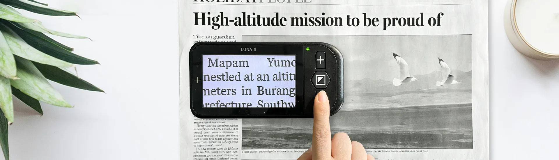 Luna S Simple to Use, Essential to Own