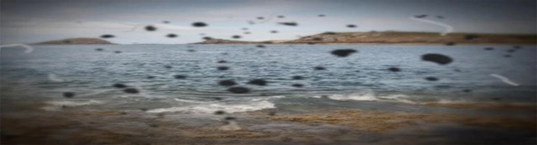 field of vision for an individual with retinal detachment