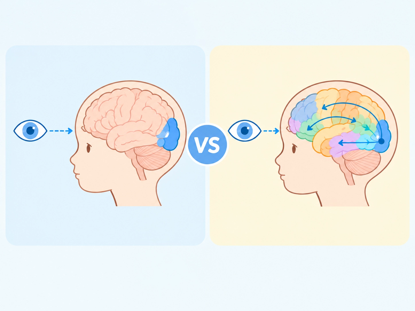 cortical vs cerebral visual impairment
